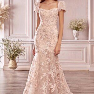 Blush Evening Bridal Wedding Mermaid Long Dress
